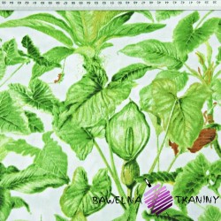 Cotton green leaves in the jungle on a white background - 220 cm