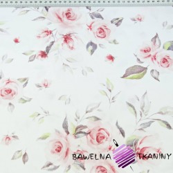 Cotton flowers of powdery and dirty pink roses on a white background