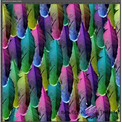 Jersey Knit Digital Print - Feathers colourful