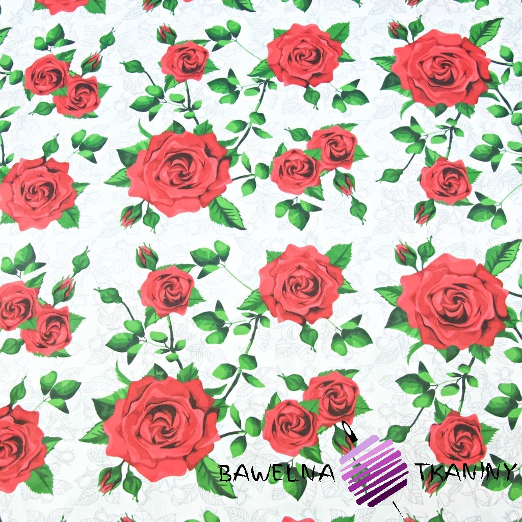Kwiaty róże czerwone na białym tle
