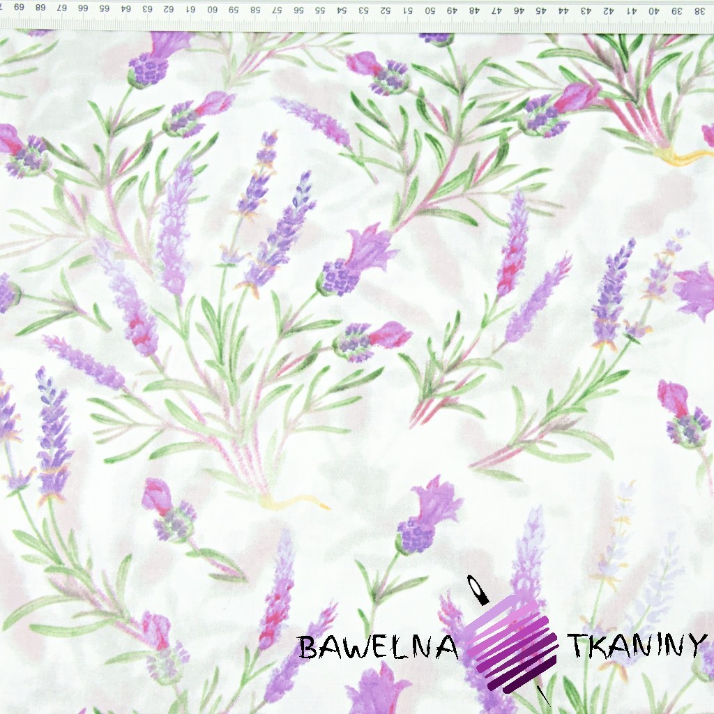 Cotton lavender flowers with twigs on a white background - 220 cm