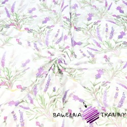 Cotton lavender flowers with twigs on a white background - 220 cm