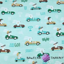 Flannel rabbits in race car on mint background