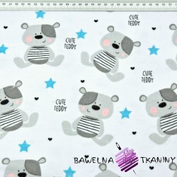Flannel teddy bears on white background