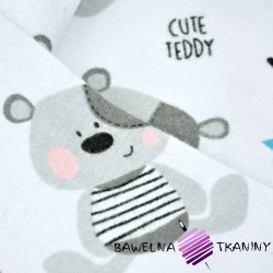 Flannel teddy bears on white background