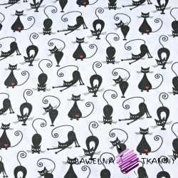 Flannel cats on white background