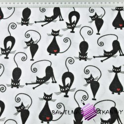 Flannel cats on white background