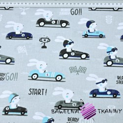 Flannel rabbits in race car on gray background