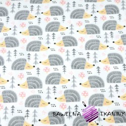 Flannel gray hedgehog on white background