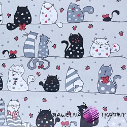 Cotton crazy cats with red additives on grey backgrounds