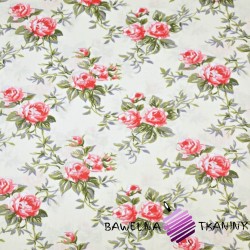 Cotton pink roses on ecru background