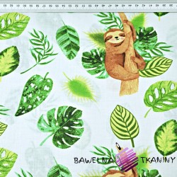 Cotton sloths with green leaves on a white background