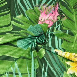 Cotton flowers of green-pink water lilies on a dark green background