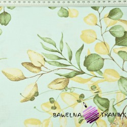 Cotton mini eucalyptus flowers on a mint background
