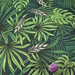 Cotton dark green palm leaves and monstera