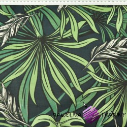 Cotton dark green palm leaves and monstera