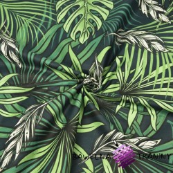 liście palmowe i monstera ciemnozielone