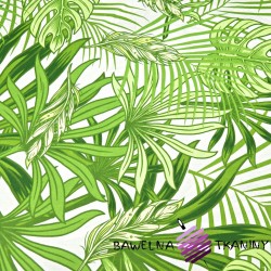 Bawełna liście zielone palmowe i monstera na białym tle