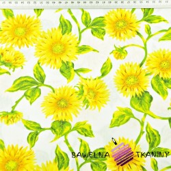 Cotton sunflowers on a white background