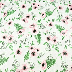 Cotton pink-green anemones flowers on white background