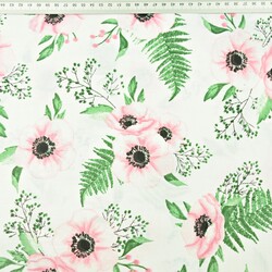 Cotton pink-green anemones flowers on white background