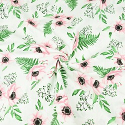 Cotton pink-green anemones flowers on white background