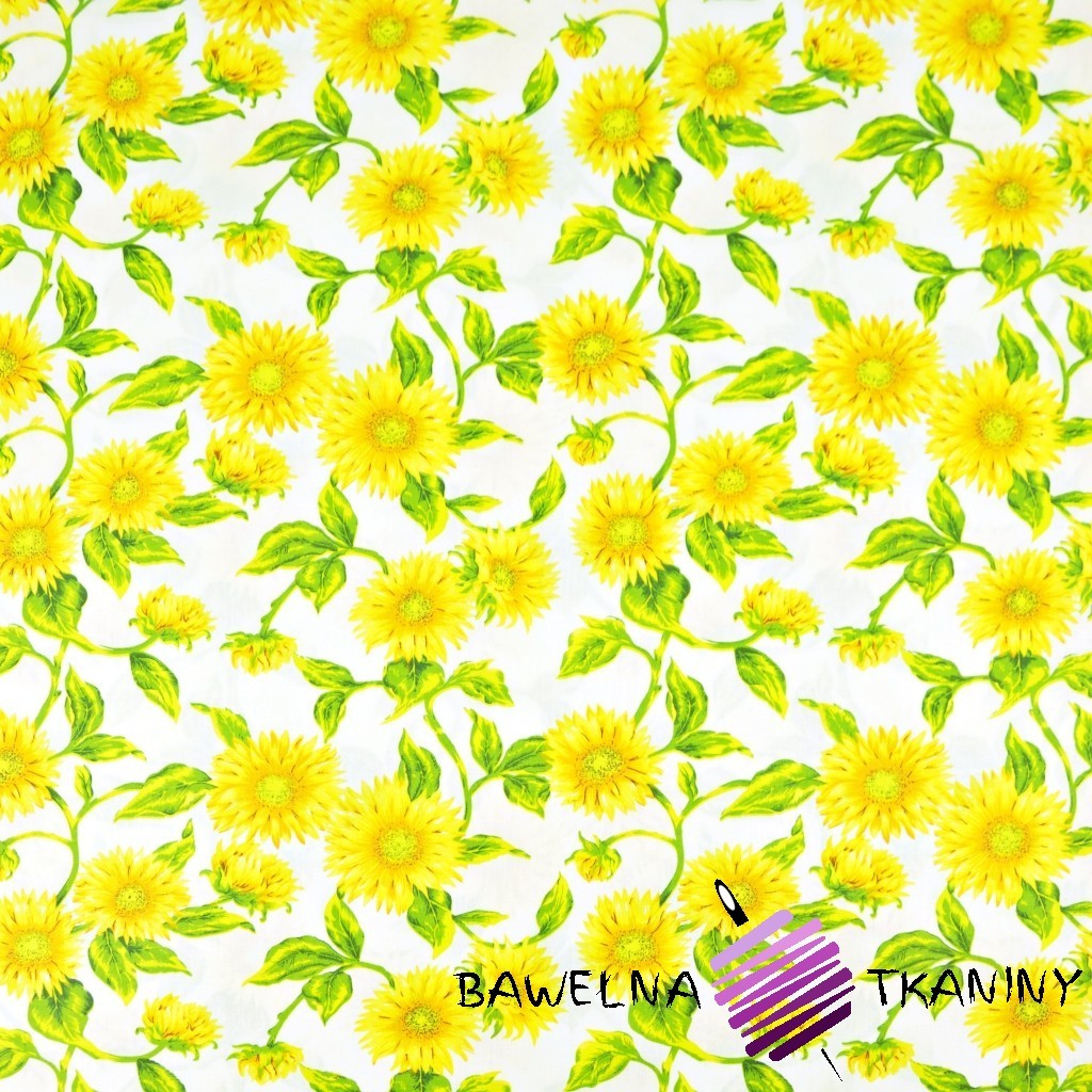 Cotton sunflowers on a white background - 220cm