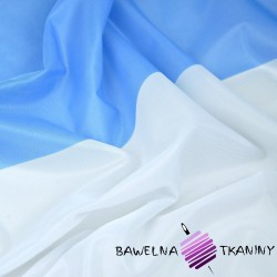 Marian flag