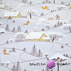 Cotton foxes in winter with orange houses on a gray background