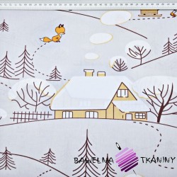 Cotton foxes in winter with orange houses on a gray background