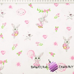 Cotton pink bunnies with clouds on a white background