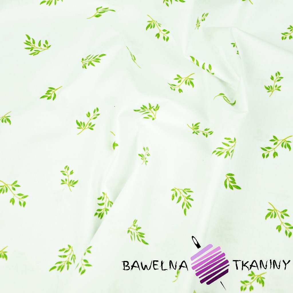 Cotton MINI green twigs on a white background