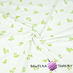 Cotton MINI green twigs on a white background