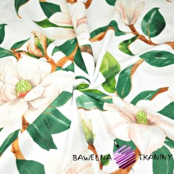 Bawełna 100% w kwiaty magnolie na białym tle