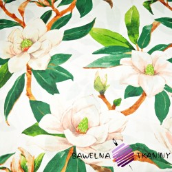 Cotton magnolias on a white background - 220cm