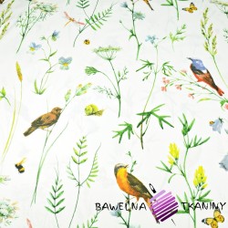 Cotton big meadow with birds on a white background