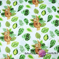 Cotton fabric sloths with green leaves on a white background - 220cm