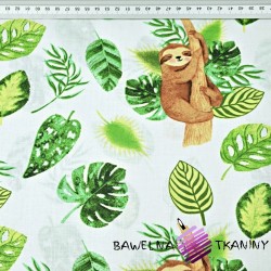 Cotton fabric sloths with green leaves on a white background - 220cm