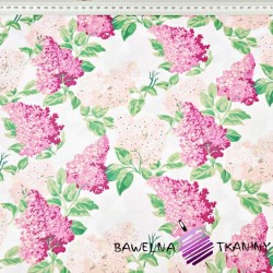 Cotton 100% Pink and fuchsia lilac flowers on a white background