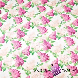 Cotton 100% Pink and fuchsia lilac flowers on a white background
