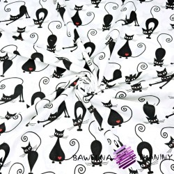 Cotton black cats on white background