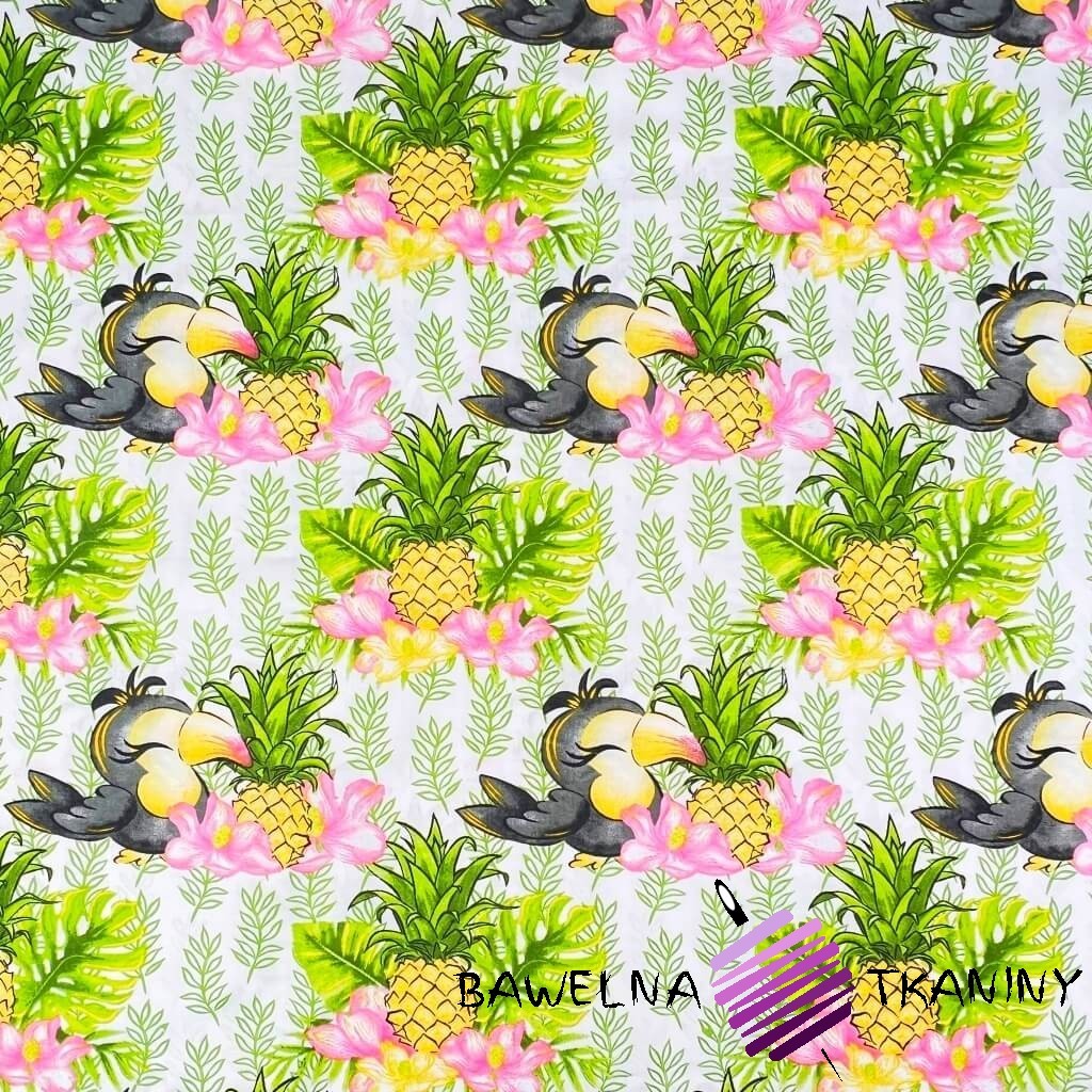 Cotton toucans with pineapple on white background