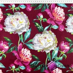 Cotton fabric Pink and white peonies flowers on a maroon background - 220 cm
