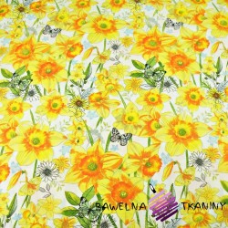 Cotton fabric daffodil flowers on a white background - 220 cm