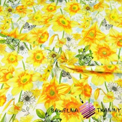 Cotton fabric daffodil flowers on a white background - 220 cm