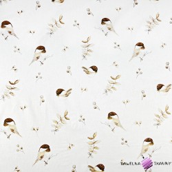 Cotton brown sparrow birds with twigs on a white background