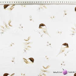 Cotton brown sparrow birds with twigs on a white background