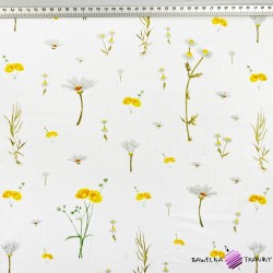 Cotton 100% yellow field flowers on a white background