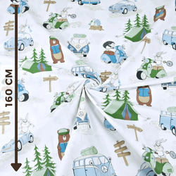 Blue-green camping on a white background