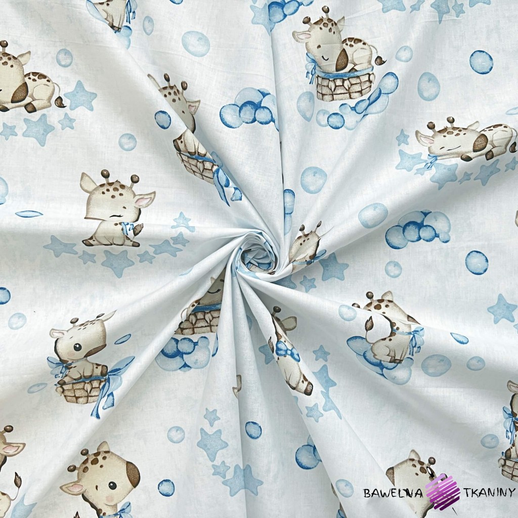 Cotton 100% beige baby giraffes on a white and blue background